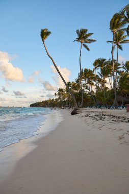 Beach Punta Cana, tatil. Dominik Cumhuriyeti.