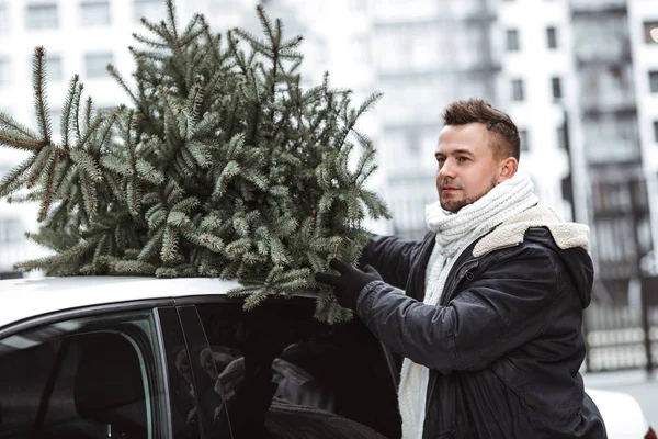 Padre Prepara Para Año Nuevo Trajo Árbol Navidad Familia Entrega — Foto de Stock