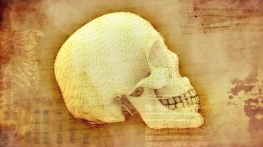 kafatası döngüsü antika