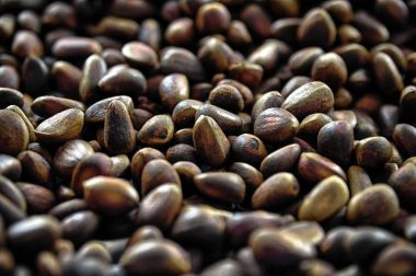 Kuzey doğanın Hediyelik