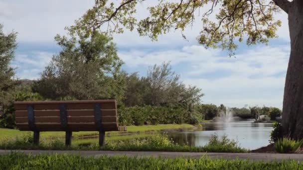 湖の近くのベンチと木 — ストック動画