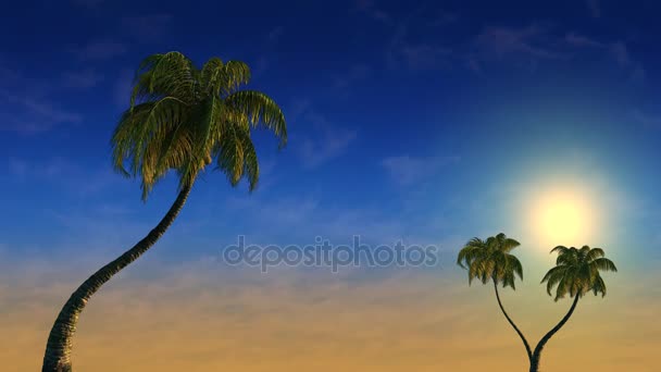 Günbatımı Palmiye Ağaçları Rüzgarda Animasyon — Stok video