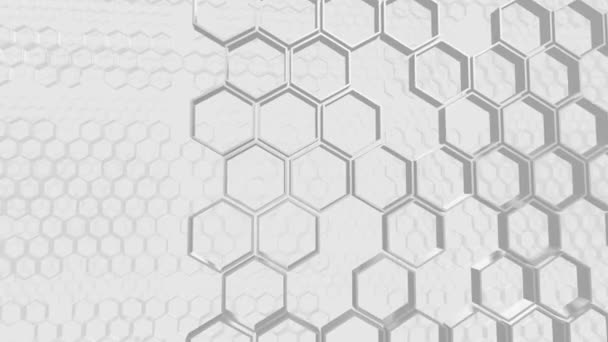 Information Network Texture Polyhedron Fog Slow Motionhoneycombs Abstract Background Business — 비디오