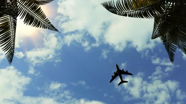 Travel Tourism Plane Sea Hotel Tropics Palm Branches Background Clouds — 비디오