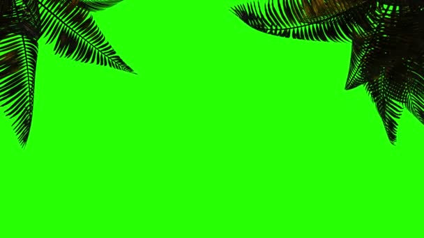 Анимационная Пальмовая Ветвь Листья Зеленом Фоне Ключ Зеленый Фон Альфа — стоковое видео
