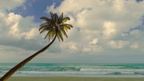Ilustrace Palmové Větve Houpající Větru Pozadí Moře — Stock video