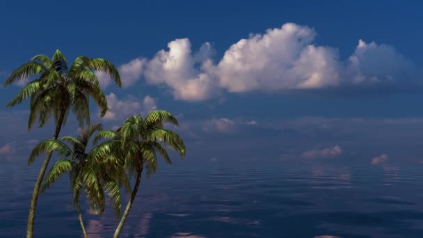 Tropik Deniz Manzarası Palmiye Ağaçları Bulutlar — Stok video