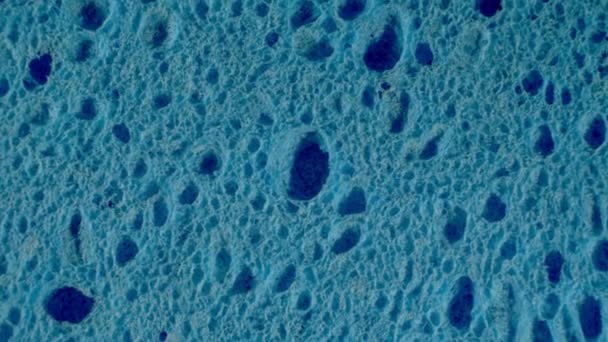 蓝色泡沫纹理的运动 — 图库视频影像