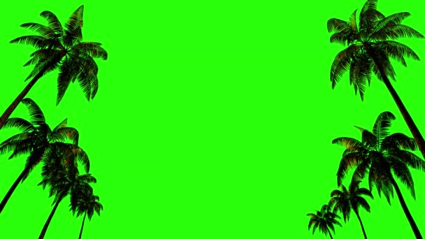 Palm Trees Wind Chromakey Alpha Channel Green Background Rendering — Stock Video
