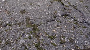 Arka plandaki çatlak asfalt sokakta