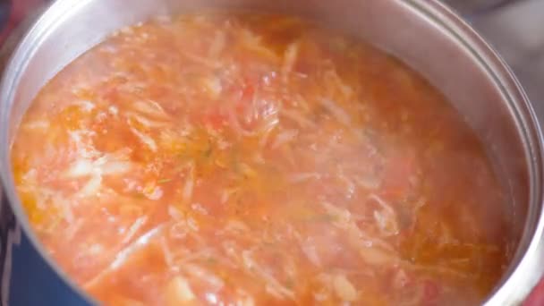 Ukrayna Rus Halk Yemeği Çorbası Ulusal Gıda — Stok video