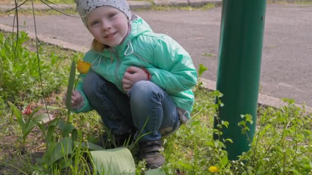 Niña Oliendo Una Flor Tulipán Jardín — Vídeo de stock