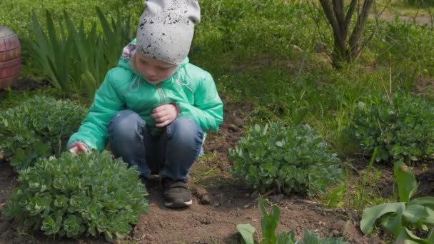 Little Girl Plays Garden Strokes Weed — Stock Video