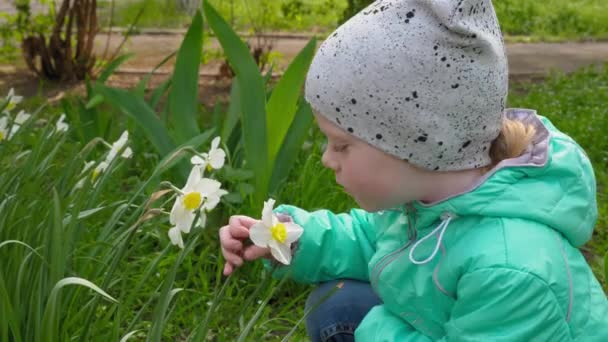 Menina Cheirando Uma Flor Narciso Jardim — Vídeo de Stock