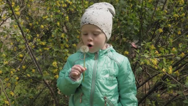 Petite fille enfant soufflant sur un pissenlit 