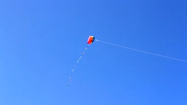 Цветной воздушный змей, летящий в небе — стоковое видео
