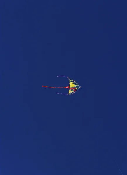Cerf-volant coloré volant dans le ciel — Photo