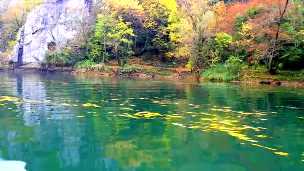 Prachtige landschap uitzicht vanaf de boot op de rivier — Stockvideo