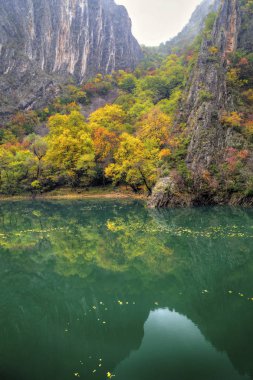 Güzel manzara nehir ve renkli sonbahar orman ile