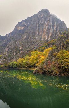 Güzel manzara nehir ve renkli sonbahar orman ile