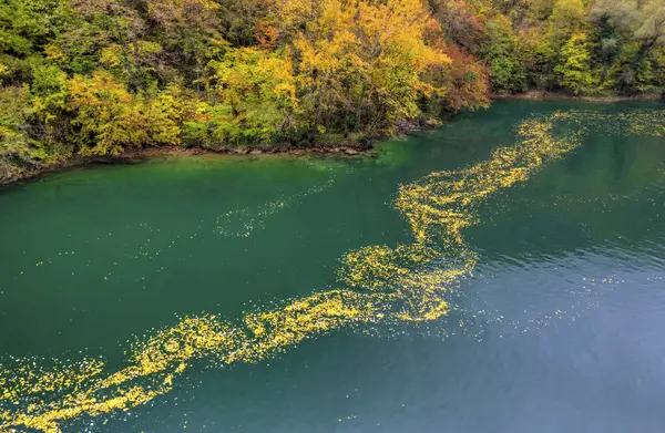 Bellissimo paesaggio con fiume e foresta autunnale colorata — Foto Stock