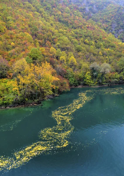 Bellissimo paesaggio con fiume e foresta autunnale colorata — Foto Stock