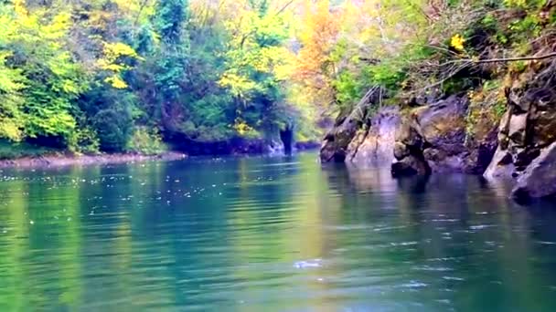 Nehri üzerinde tekne görünümünden güzel manzara — Stok video