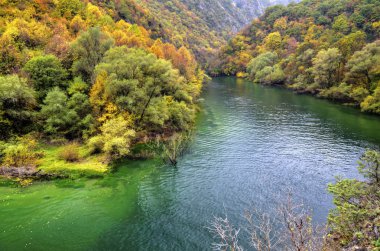 Güzel manzara nehir ve renkli sonbahar orman ile