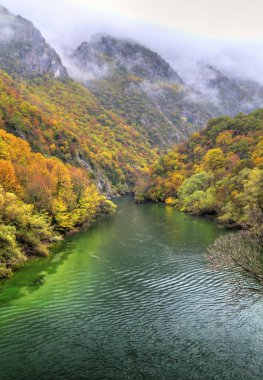 Güzel manzara nehir ve renkli sonbahar orman ile
