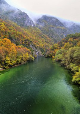 Güzel manzara nehir ve renkli sonbahar orman ile