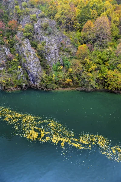 Bellissimo paesaggio con fiume e foresta autunnale colorata — Foto Stock