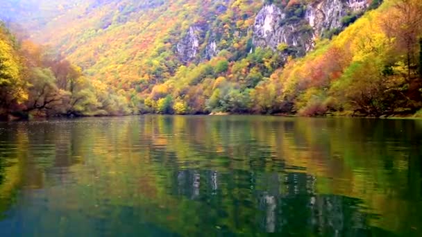 川でのボートからの美しい景観 — ストック動画