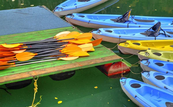 Kayaks en alquiler —  Fotos de Stock