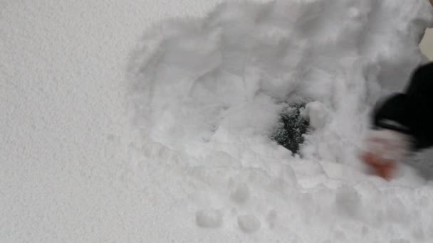 Человек очищает машину от снега — стоковое видео
