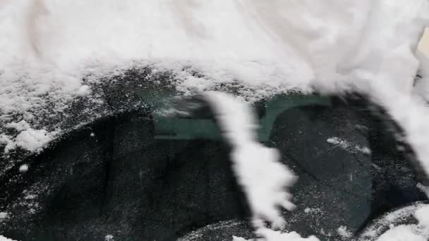 Tergicristalli auto cancella la neve dal finestrino dell'auto — Video Stock