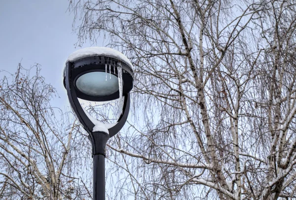 Zmrazené pouliční lampa s rampouchy v chladné zimní den — Stock fotografie
