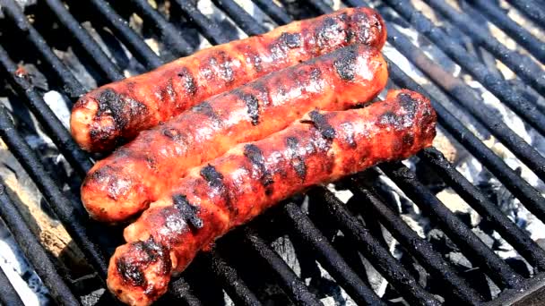 Cozimento de salsichas frescas no churrasco — Vídeo de Stock