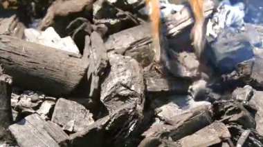 Barbekü için kömür hazırlama