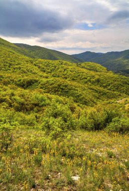 güzel dağ manzarası