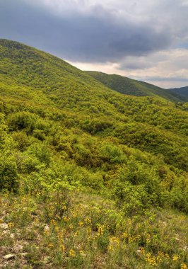 güzel dağ manzarası