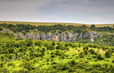 Güzel yaz manzarası