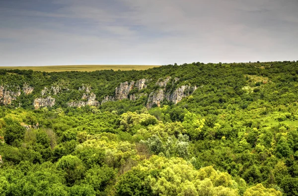 Прекрасний літній краєвид — стокове фото