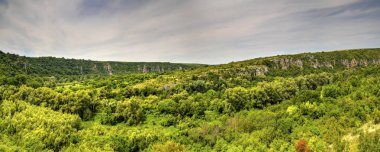 Güzel yaz manzarası
