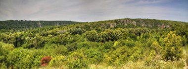 Güzel yaz manzarası