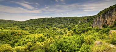 Güzel yaz manzarası