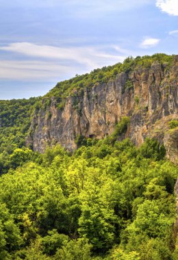 Güzel yaz manzarası
