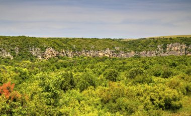 Güzel yaz manzarası