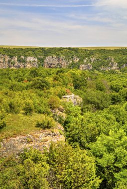 Güzel yaz manzarası
