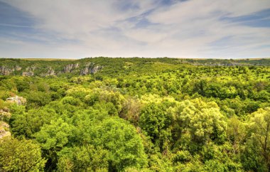 Güzel yaz manzarası