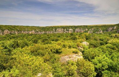 Güzel yaz manzarası